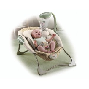 Baby Papasan Chair Reviews One