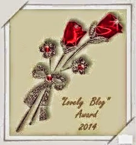 Lovely blog award 2014