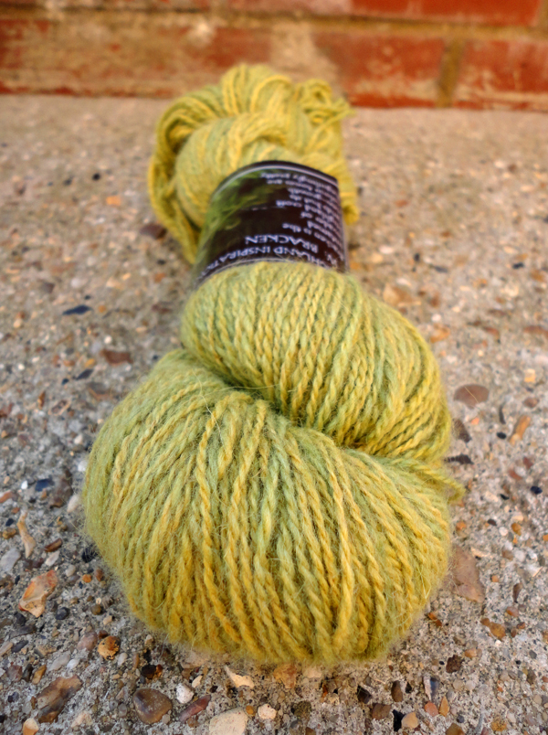 Frog Land Edinburgh yarn stores