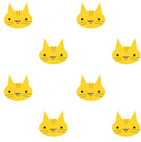 yellow cat kitty