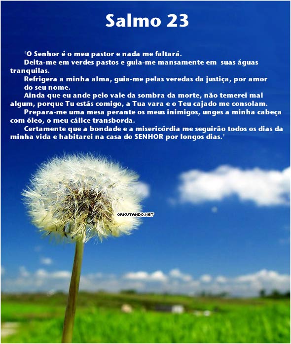 Mensagens da Net: Salmos Bíblicos,Mensagens de Salmos Bíblicos #5