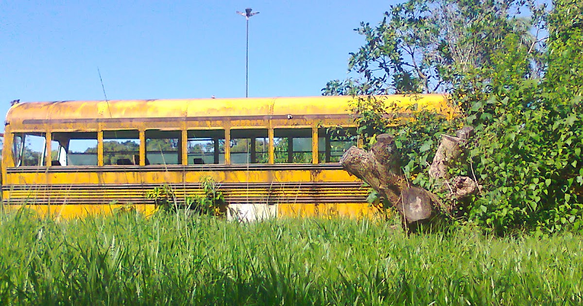 Anderson Ônibus do filme Olhos Famintos!