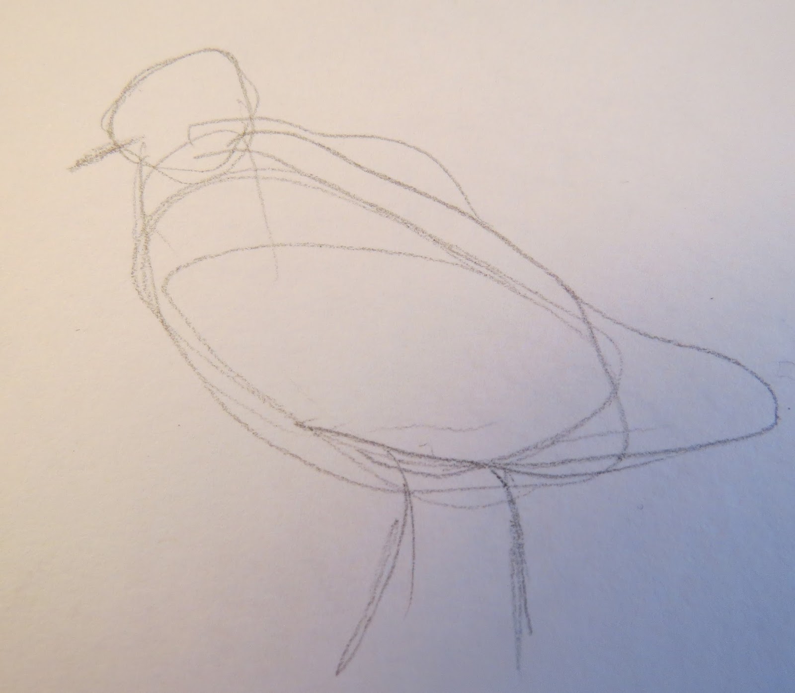 The Autistic Naturalist: How To Draw: Wading Birds
