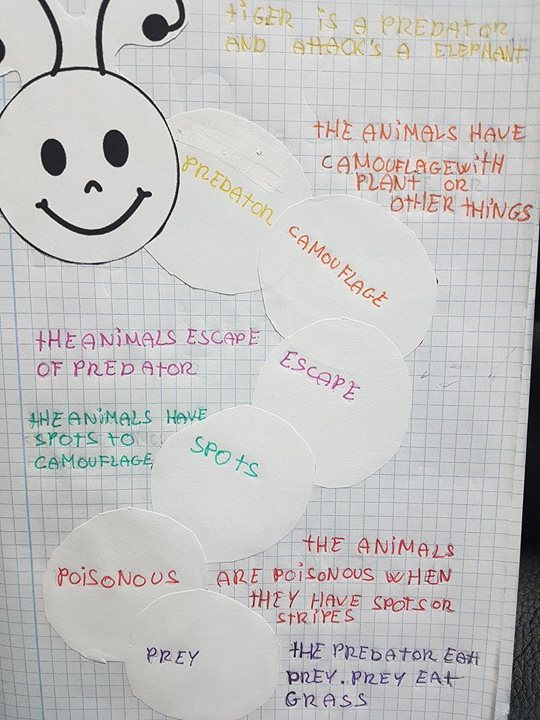 Love English Caterpillar sentences