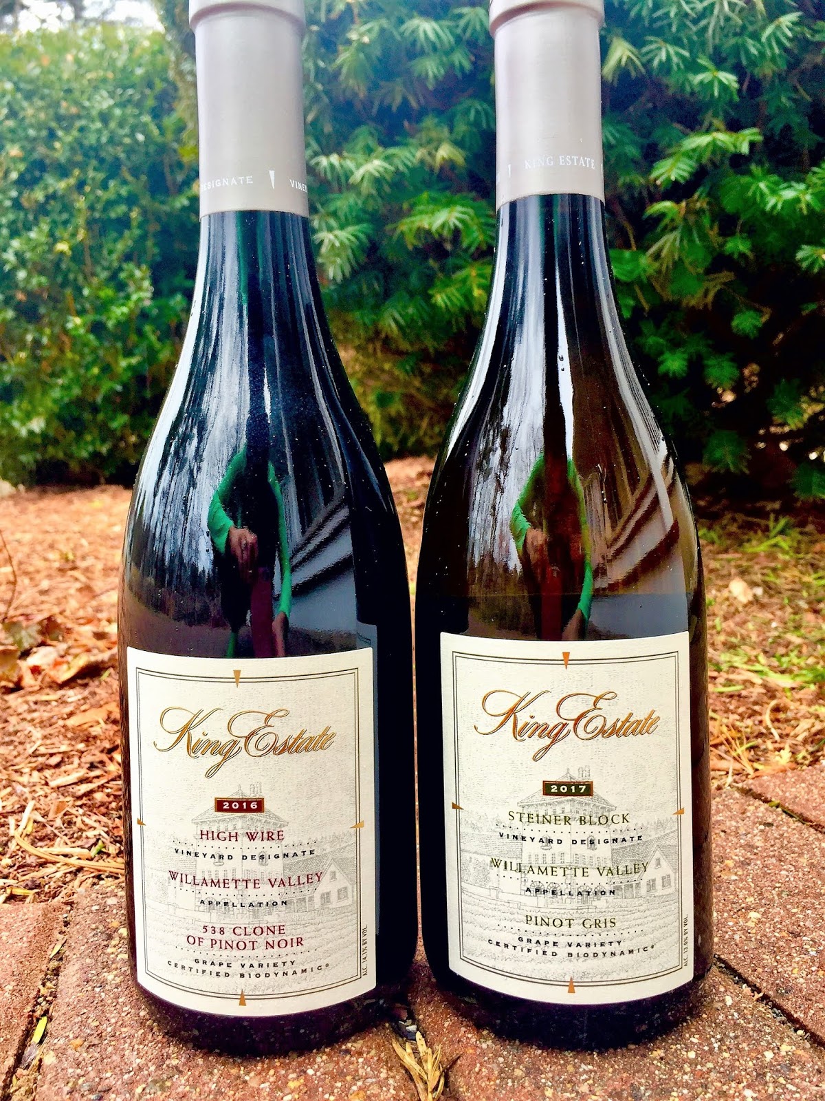 Vino Travels An Italian Wine Blog Biodynamic Wines of the Willamette