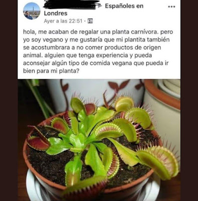 Planta carnívora, vegano