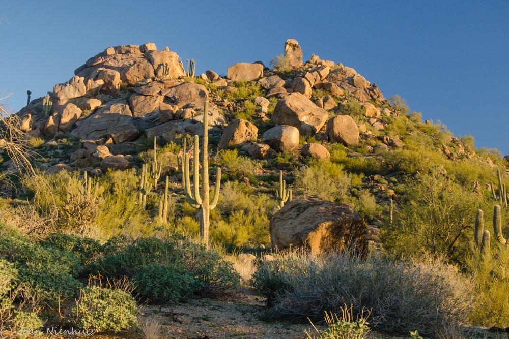 Pacific Northwest Photography Arizona Desert Hiking Granite Mountain