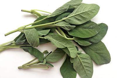 Daun Sage