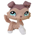 Littlest Pet Shop 3-pack Scenery Collie (#1330) Pet