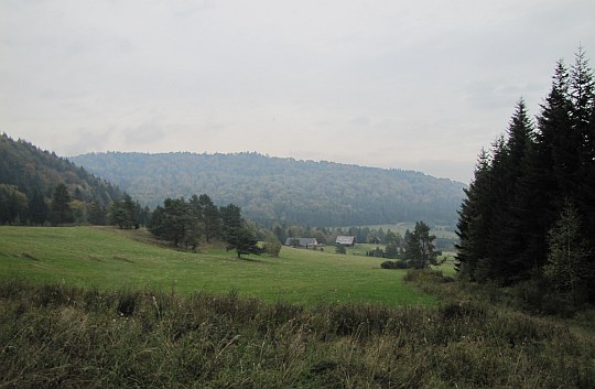 Na łąkach powyżej wsi Ropki.