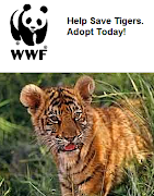 Lelucon Sokong WWF