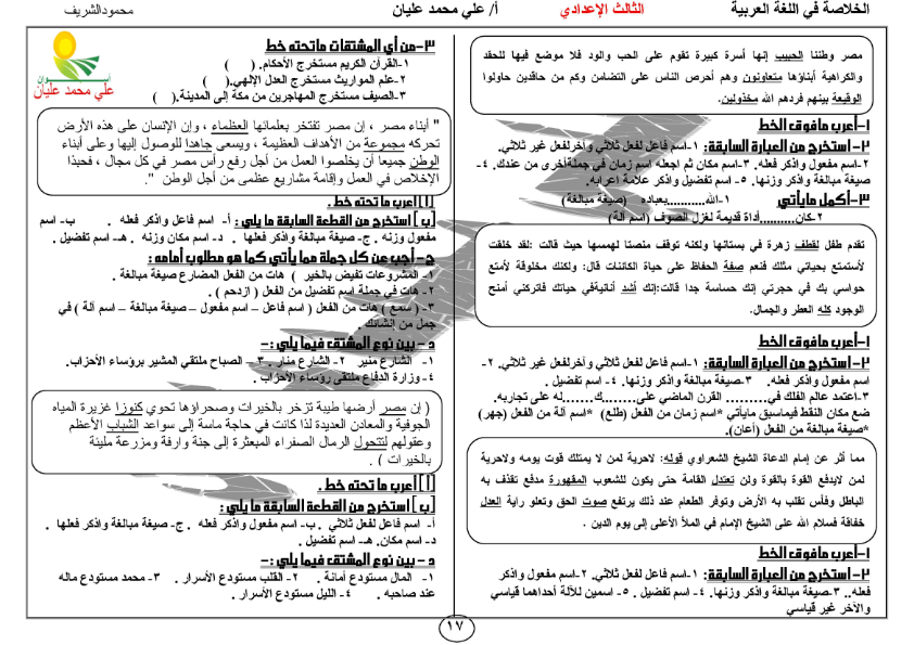 مراجعة ليلة امتحان اللغة العربية للصف الثالث الاعدادى آخر العام في 17 ورقة فقط 1_017