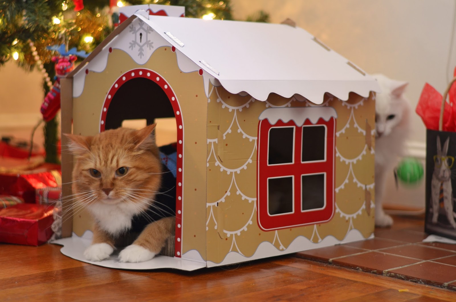 Chester's reaction to Cloud tossing a plastic ball and freaking him out.