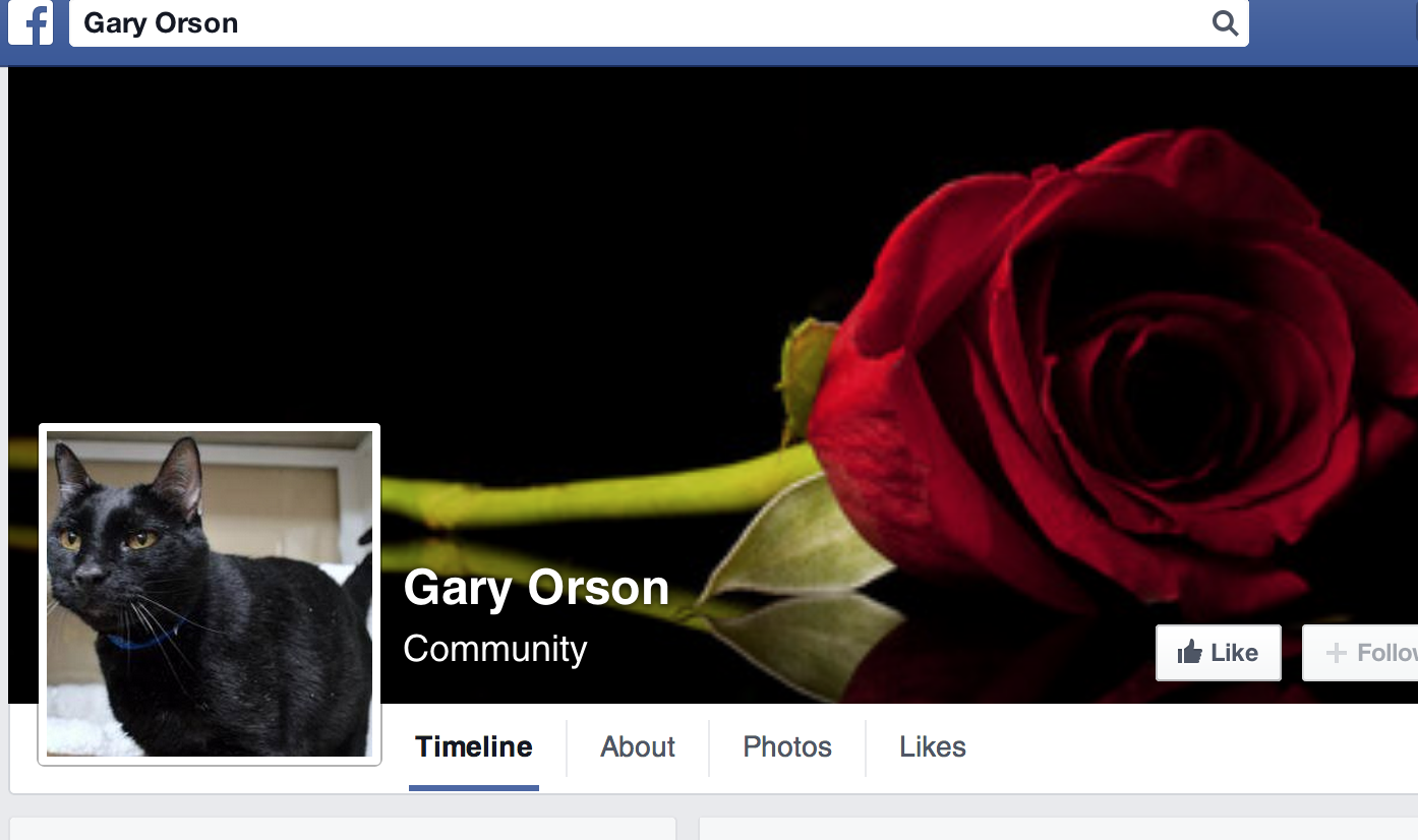 www.facebook.com/GaryOrsonLovableFeline