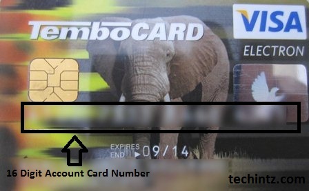 How To Get Verified On PayPal in Tanzania. ~ TECHINTZ