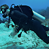 How To Make Career In Oceanography Marine Biology-Oceanography Marine Boilogy Me Career Kaise Banaye