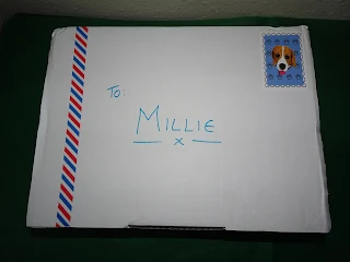 box with name millie 