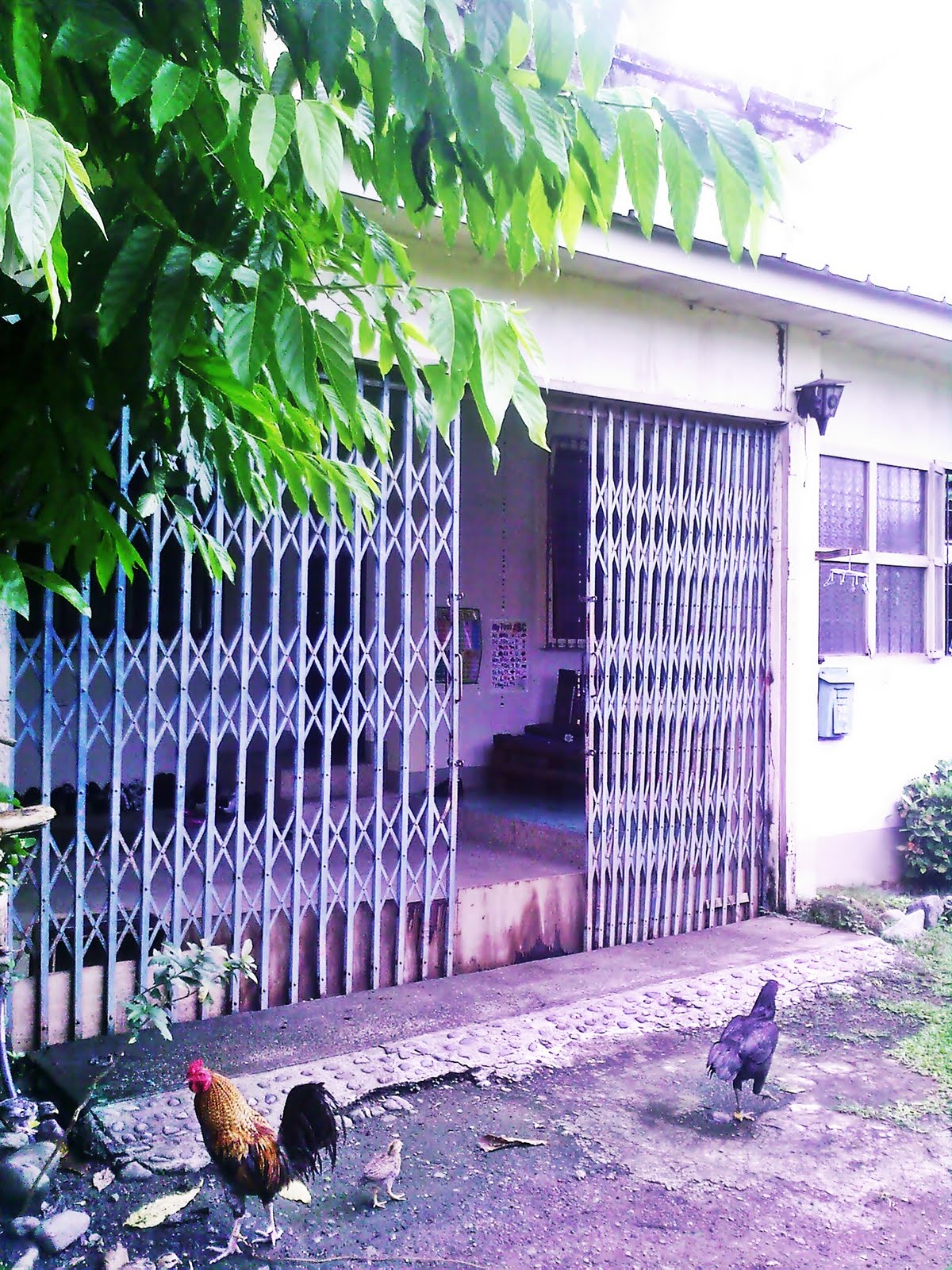HOUSE and LOT for Sale in Zamboanga City