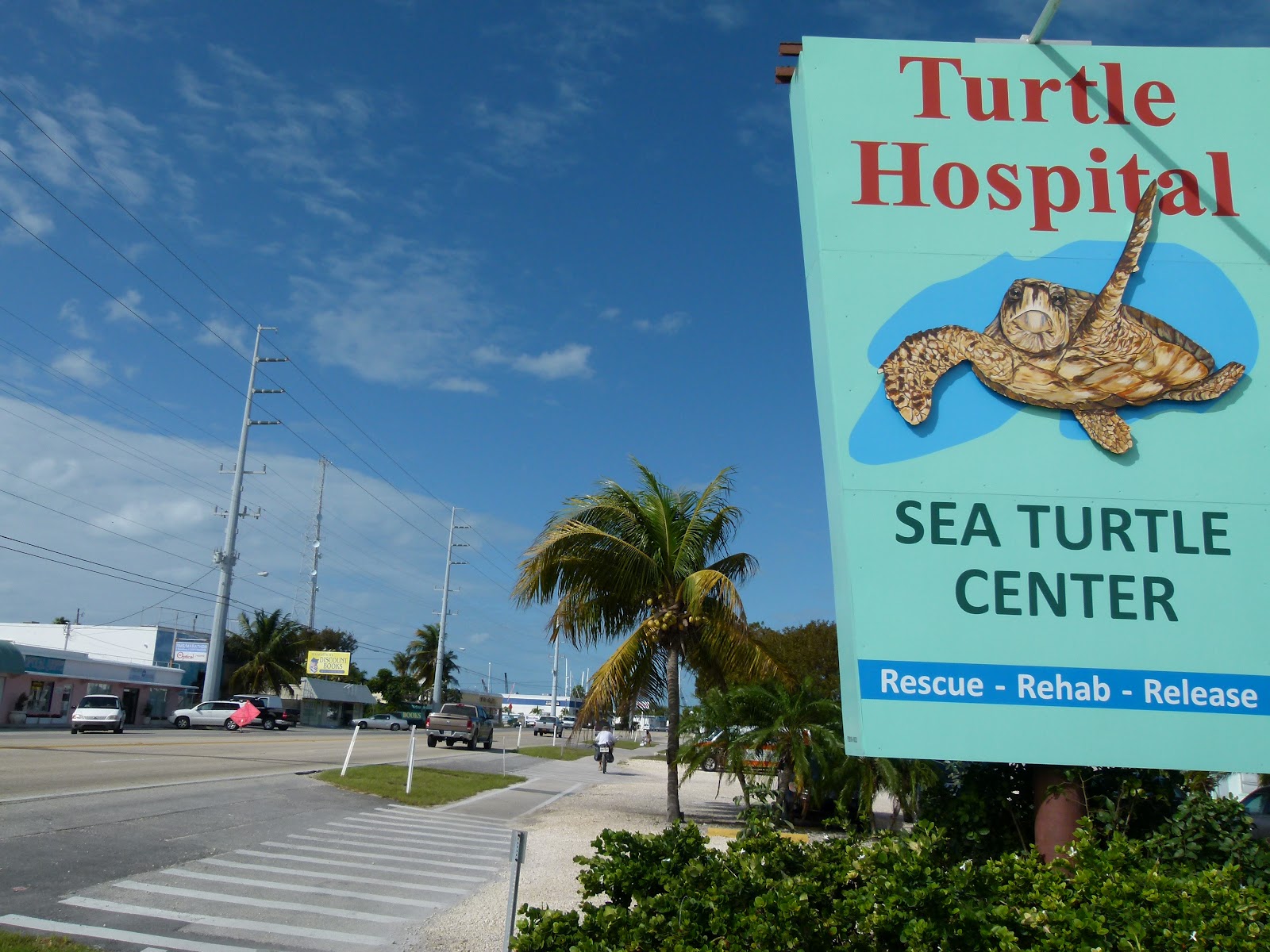 Visit Key West Turtle Hospital