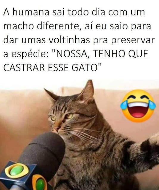Memes engraçados Memes engraçados