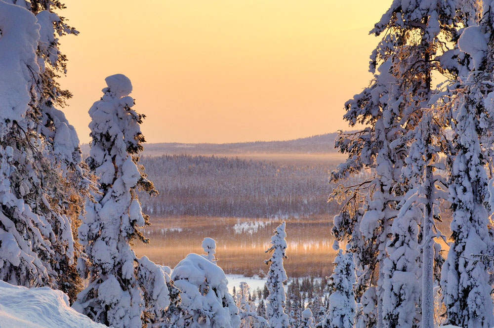 finland tourism packages from india