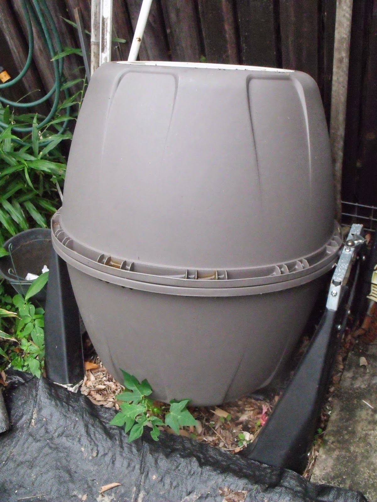 Africanaussie Did You Know It Is Was Compost Awareness Week This Weekened When I Was Transferring Compost From The Tumbler Into Bin Noticed Something Have Never Seen Before Red Wrigglers They Must