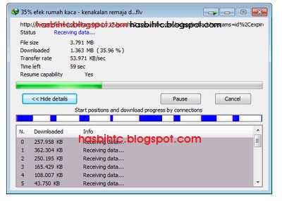 Internet Download Manager Internet Download Manager