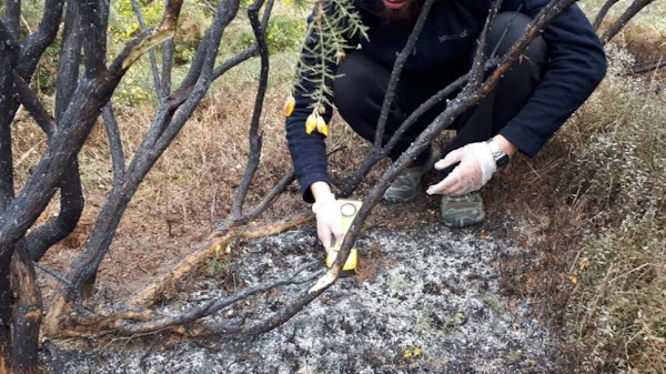 X-Files στη Χιλή: Μυστηριώδης πύρινη μπάλα που συνετρίβη στο έδαφος δεν είναι μετεωρίτης X-Files στη Χιλή: Μυστηριώδης πύρινη μπάλα που συνετρίβη στο έδαφος δεν είναι μετεωρίτης