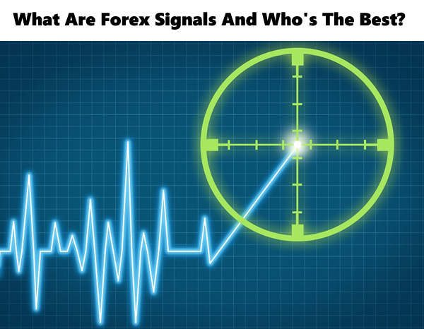 The best forex signals