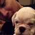 Anjing Kesayangan Keluarga Taeyang Diculik