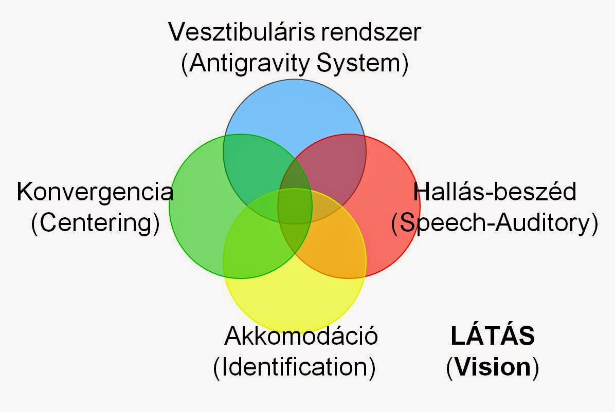 egyértelműen a látásról)