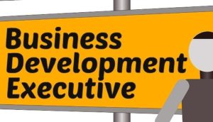 business development executive interview questions answers tecinfoo executive interview questions