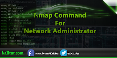 open port scanner nmap network scanning