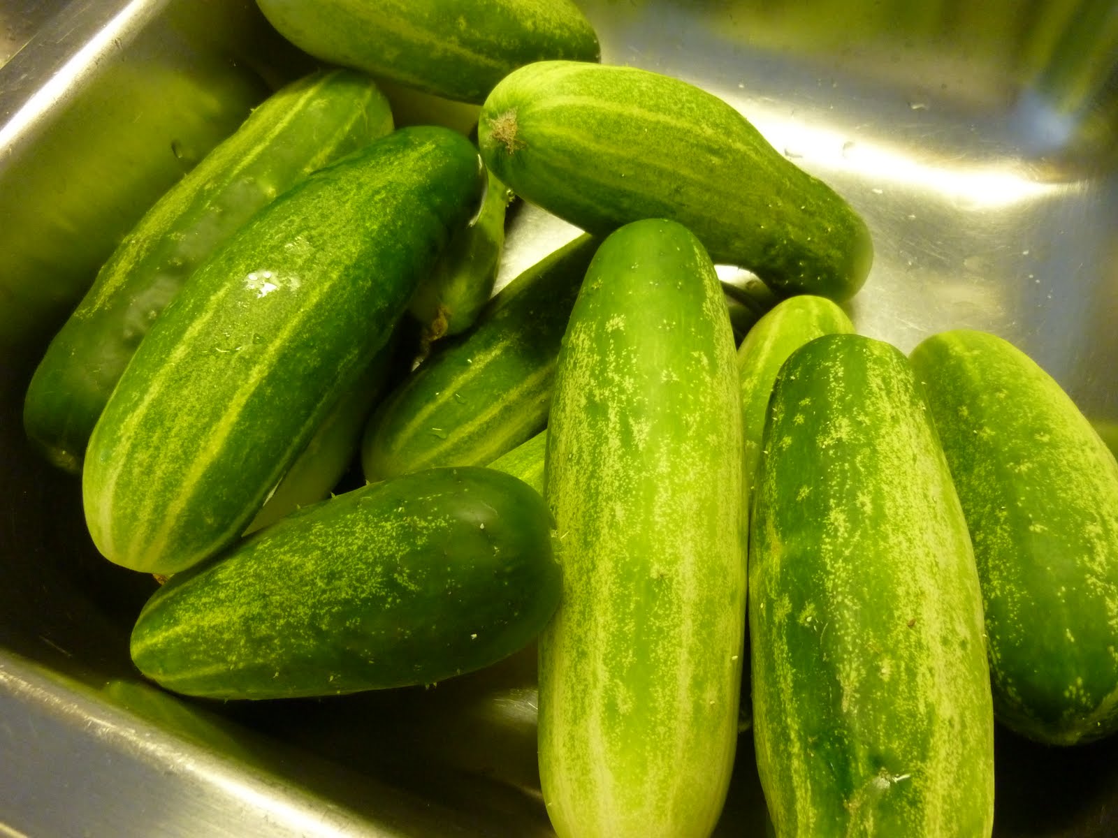 Make and Do Cucumbers to Pickles
