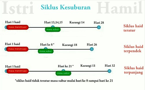 cara menghitung masa subur cara menghitung masa subur