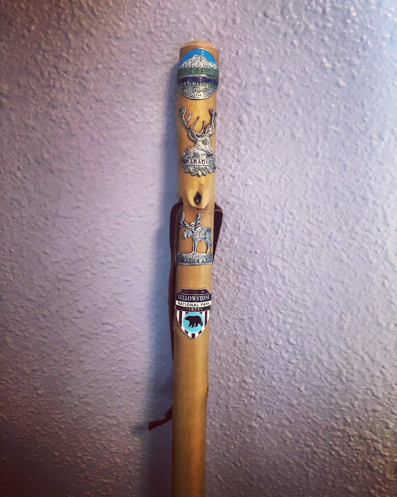 Hears Different Drummer Picture of the week National Park Trekking