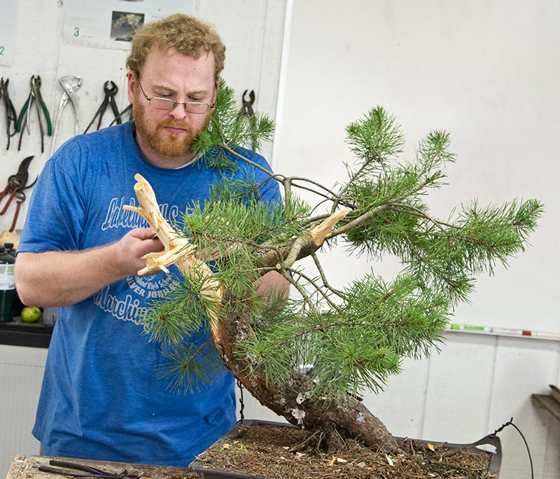 Walter Pall Bonsai Adventures Int. Bonsai Academy in Michigan 2