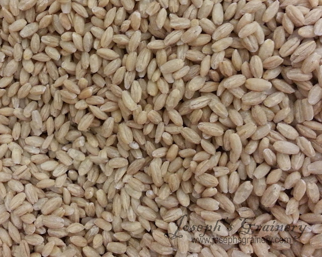 Joseph's Grainery What is Unhulled Barley vs Pearl Barley?