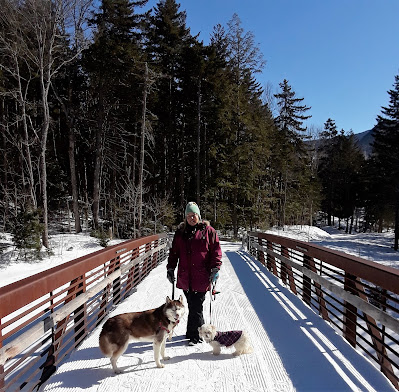Waterville Valley ski resort in New Hampshire is dog friendly. Pet friendly hotels and resorts. Travel with dogs