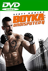 Boyka: Undisputed IV (2016) DVDRip Latino AC3 5.1 / Español Castellano AC3 5.1 Boyka: Undisputed IV (2016) DVDRip Latino AC3 5.1 / Español Castellano AC3 5.1