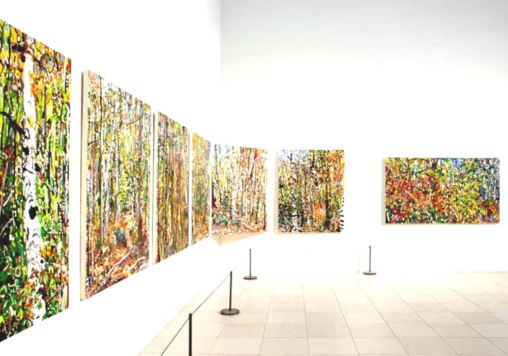 Museum Of Contemporary Art Jacksonville