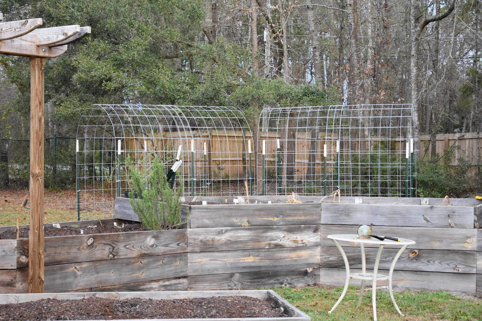DIY Cattle Panel Arbor Trellis