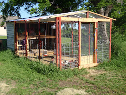 coops chicken hog roof ty coop wire panel slant cedar bottom vinyl