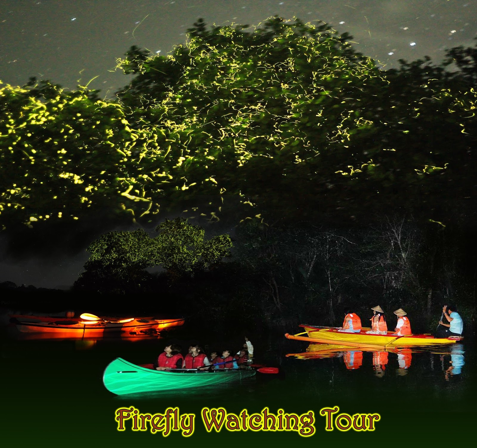 firefly canal tour surat thani