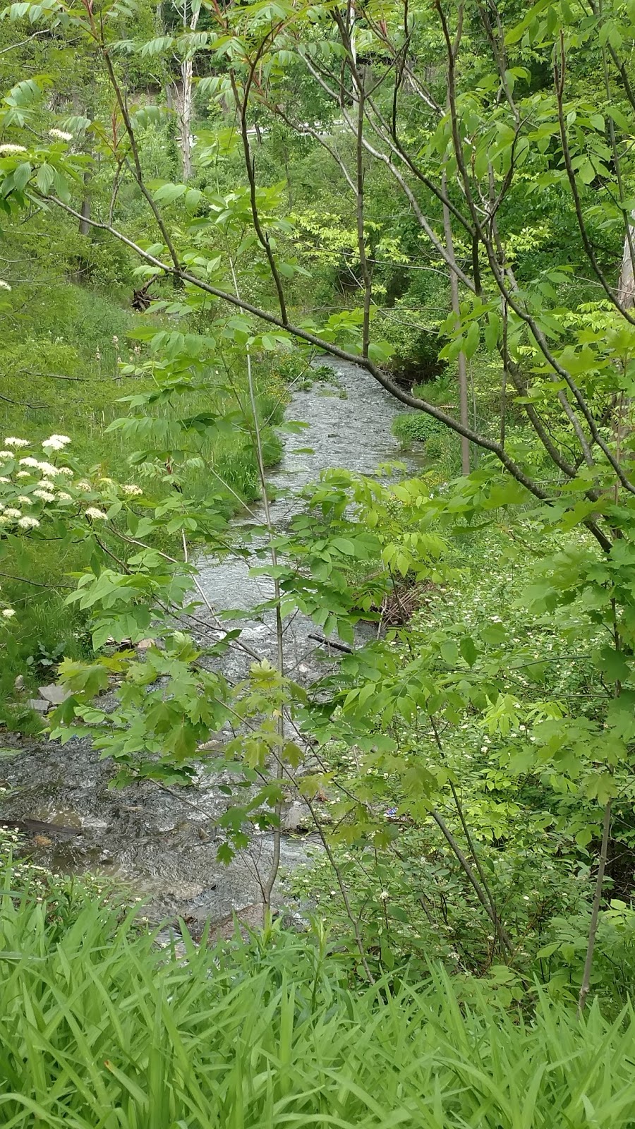 Pandora's Box An afternoon in Sharon Springs, NY....