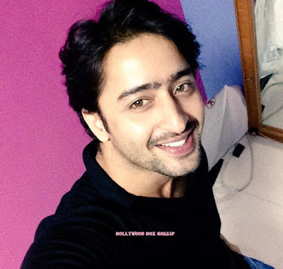 Shaheer Sheikh Age, Wiki, Biography, Height, Weight, Wife, Birthday, Fims, TV Shows & More