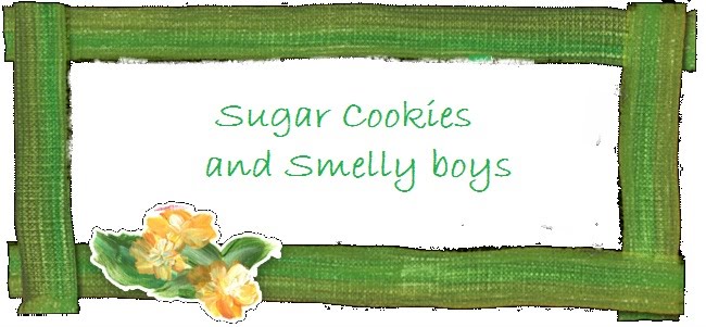 Sugar cookies and Smelly boys
