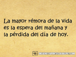 frases de vida frases de vida