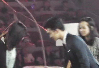 25.gif