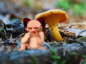 ひそむ者(素材使用)